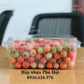 Hộp nhựa đựng trái cây 2 kg