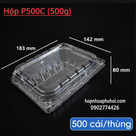 HỘP NHỰA ĐỰNG TRÁI CÂY P500C