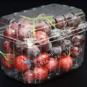 HỘP NHỰA ĐỰNG TRÁI CÂY 1KG P1000B