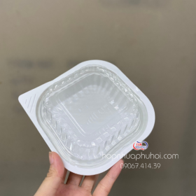 HỘP NHỰA HT12 TRẮNG