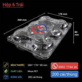 HỘP NHỰA ĐỰNG 6 TRÁI TÁO