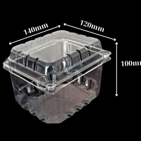 Hộp nhựa đựng trái cây 0,5kg p500d