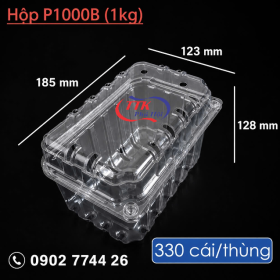 HỘP NHỰA ĐỰNG TRÁI CÂY 1KG P1000B