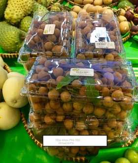 Hộp nhựa đựng 1 kg nho, nhãn, cherry, P1000A