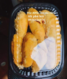 Hộp nhựa đựng sầu riêng tách múi ( giá rẻ, tiện lợi , an toàn)
