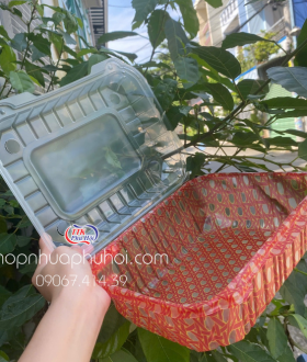  Hộp Nhựa Đựng Gà Vịt Nguyên Con Dùng Một Lần - Giải Pháp Tiện Lợi, An Toàn Cho Thực Phẩm