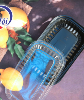 Hộp nhựa 1 ngăn Jadebox HT17