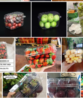 Hộp Nhựa Đựng Trái Cây 1kg P1000B: Giải Pháp Chống Úng, Tối Ưu Lợi Nhuận