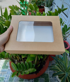 Hộp Giấy Nắp Đậy Rời Kraft: "Lớp Áo" Sang Trọng Cho Thương Hiệu F&B