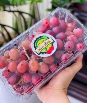 HỘP NHỰA TRONG SUỐT