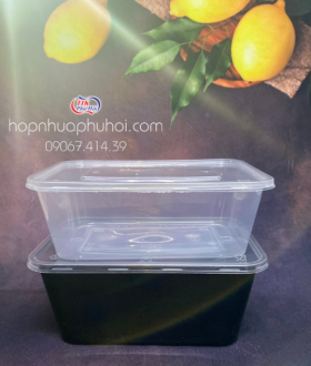 Công Ty Phú Hội – Nhà Cung Cấp Hộp Nhựa Chữ Nhật Trong Đựng Thực Phẩm Dùng 1 Lần Chất Lượng Cao