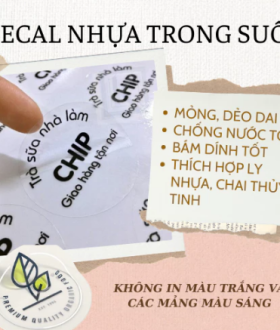 Lý do bạn nên chọn in decal nhựa trong suốt tại công ty in Phú Hội