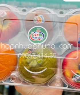 Hộp Nhựa Đựng 3 Trái, 6 Trái Táo – Giải Pháp Bảo Quản Trái CâyHiện Đại