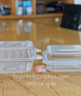 GỢI Ý HỘP NHỰA ĐỰNG GÀ, VỊT NƯỚNG NGUYÊN CON CHẤT LƯỢNG NHẤT THỊ TRƯỜNG 