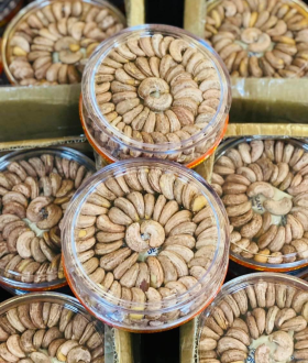 Hộp Nhựa Đựng Bánh Kẹo, Mứt Tết - Bao bì lý tưởng, sang trọng