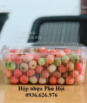 Hộp Nhựa Đựng Trái Cây 2kg Nhựa PET Cứng Cáp, Giá Sỉ Tận Xưởng