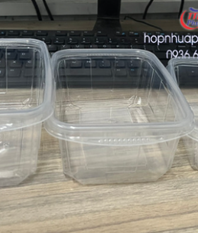 Hộp nhựa đựng thực phẩm 600ml, 750ml, 1000ml