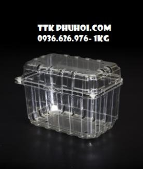 Hộp nhựa đựng trái cây, rau, củ, quả, …