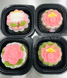Hộp nhựa Ht12 đựng bánh trung thu 