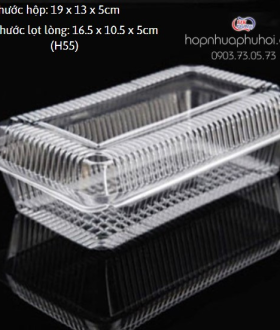 Hộp nhựa H55 tpHCM