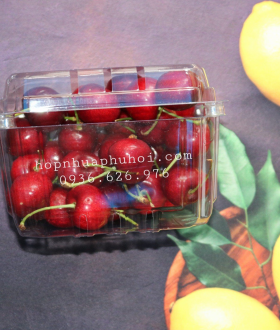 Hộp nhựa đựng nửa ký trái cây