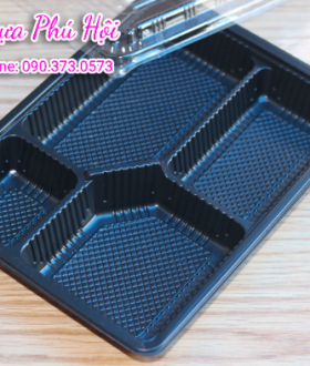 Hộp nhựa đựng cơm văn phòng tp HCM