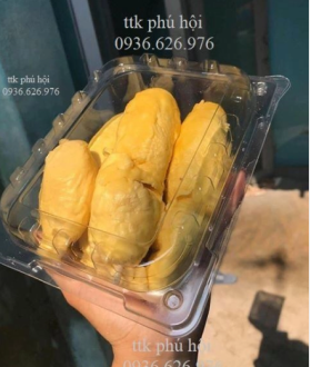 Hộp nhựa JBS1 đựng sầu riêng, trái cây gọt sẵn, bánh, rong nho,...