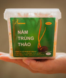 MUA HỘP NHỰA NUÔI CẤY ĐÔNG TRÙNG HẠ THẢO Ở ĐÂU GIÁ TỐT?