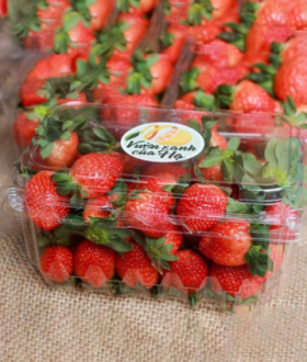 Hộp nhựa đựng trái cây 500g