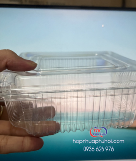 Hộp nhựa vuông trong đựng salad JBS2