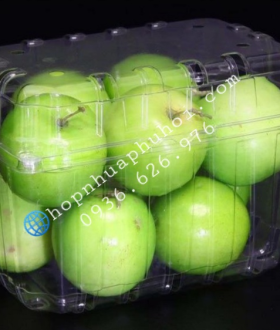 Hộp nhựa đựng trái cây