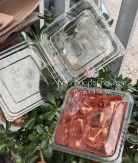 Hộp nhựa đựng bánh mứt, trái cây - Sản phẩm được ưa chuộng hiện nay