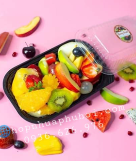 Hộp nhựa đựng thức ăn 1 lần 1 ngăn HT17 giá rẻ nhất thị trường hiện nay