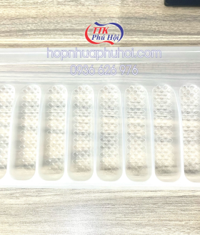 Khay nhựa đựng 10 con tôm