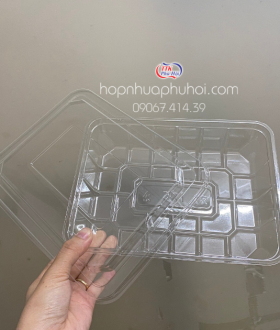 HỘP NHỰA  TRONG NẮP RỜI ĐỰNG HOA QUẢ CẮT SẴN