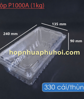 Hộp đựng trái cây 1kg P1000A tại TP HCM