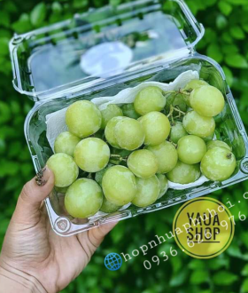 Hộp đựng trái cây 1kg tại tp HCM