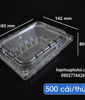 Hộp đựng trái cây giá rẻ