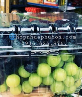 Hộp nhựa đựng nho