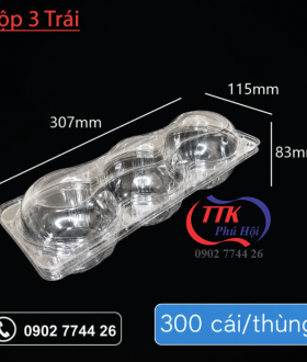 Hộp nhựa đựng trái cây PET