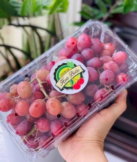 hộp nhựa đựng trái cây tại TP HCM