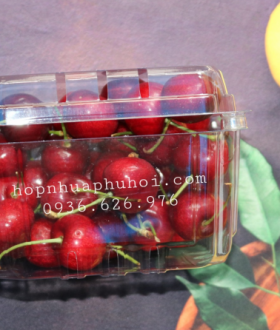 Hộp nhựa trái cây 0,5kg p500d tại tp hcm