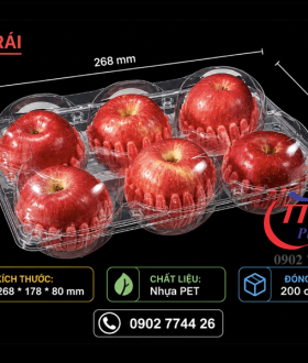 Hộp nhựa trái cây giá rẻ