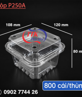 Hộp nhựa trái cây tại TP HCM