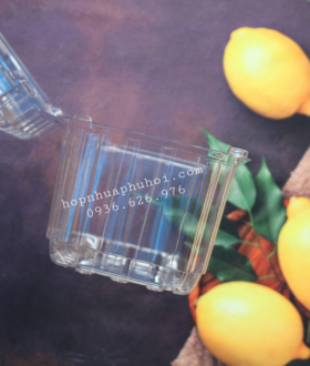 Hộp nhựa trong đựng trái cây 0,5kg