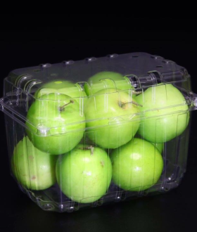 Hộp nhựa trong đựng trái cây 1kg giá rẻ
