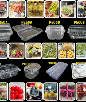 Hộp PET đựng trái cây
