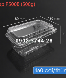 Hộp PET đựng trái cây P500B 500g tại Tp HCM