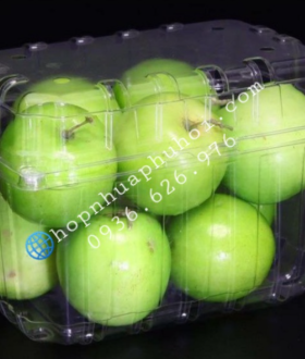 Hộp PET đựng trái cây tại TP HCM