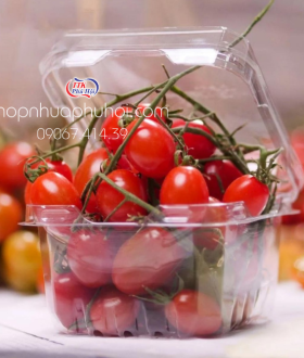 Hộp Nhựa 250gr Đựng Cà Chua Bi – Giải Pháp Đóng Gói Hiện Đại, Tiện Lợi Và An Toàn